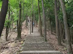 -东莞市大岭山森林公园