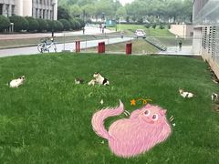 -南京医科大学(江宁校区)