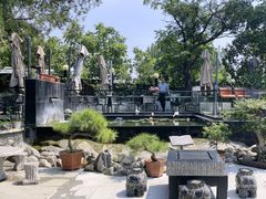 -蘇河湾·新鲁菜·泰山宴(泰山店)