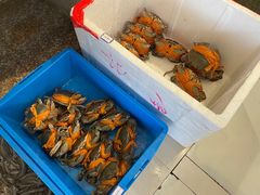 -杨记海鲜楼(三门黑金冠店)