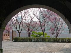-望江楼公园