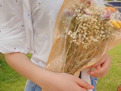 -荷兰花海