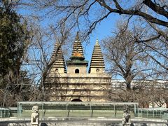 -北京石刻艺术博物馆(五塔寺)