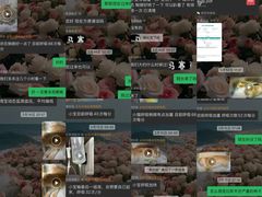 -虹泰宠物医院 ·旗舰店·24h(南秀路店)