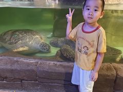 -萌宠奇缘(荣鼎店)