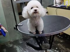 -美联众合动物医院(唯恩分院)