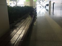 -东浩兰生上海世博展览馆