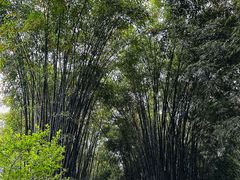 -成都杜甫草堂博物馆
