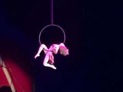 -珠海横琴长隆《卡卡虎奇遇记》