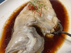 -金狮麟·新豫菜(金码大厦店)