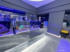 -1013 PET SHOP精品宠物商店(丁香店)