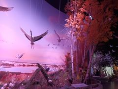 -中国湿地博物馆