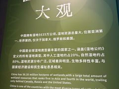 -中国湿地博物馆