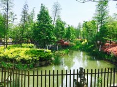 -黄海国家森林公园