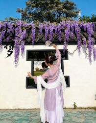 -艾美舞蹈工作室