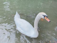 -呀诺达热带雨林