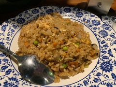 -火烈鸟