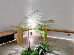 -光作面包Voila Lumiere(中山店)