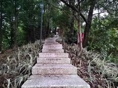 -顺峰山公园