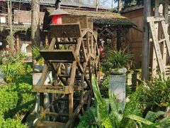 -青城甲(青城山店)