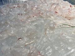 -联邦酒楼