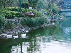 -安吉涵田度假村·水榭居中餐厅