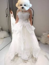 -PAI婚纱礼服设计馆【大牌租赁/高级定制】