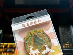 -白鹿洞书院