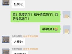-申普宠物医院·心脏介入·心血管微创(总院)