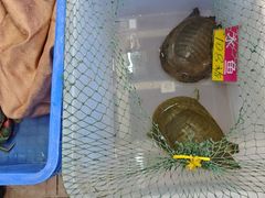 -华源餐厅·海鲜大排档(日月贝店)