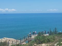 -广东惠东海龟国家级自然保护区