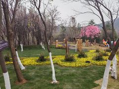 -雪山彩虹谷景区