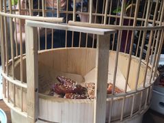 -胡桃里音乐酒馆(东区店)