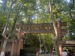 -灵谷景区