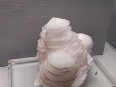 -湖南省地质博物馆