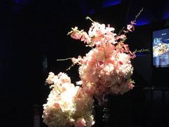 -黑桃K生日订制KTV