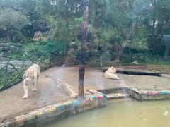 -贵州森林野生动物园