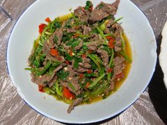 香菜炒牛肉-壹盏灯(惠农店)