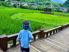 -高荡千年布依古寨旅游景区