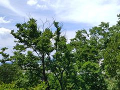 -幕燕滨江·燕子矶公园