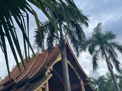 -西双版纳傣族园