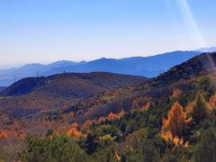 -北京鹫峰国家森林公园