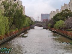 -高东镇樱花园