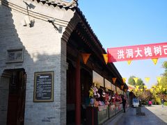 -大槐树寻根祭祖园