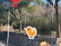 -无锡动物园·太湖欢乐园