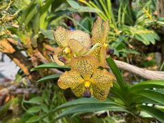 -北京植物园-展览温室