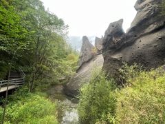 -峡谷浮石林景区