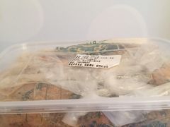 -泸溪河桃酥(秦淮夫子庙一店)