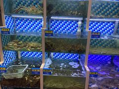 -蔚海之都·象山蒸汽海鲜(仙霞路店)