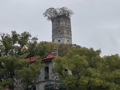 -江心屿景区